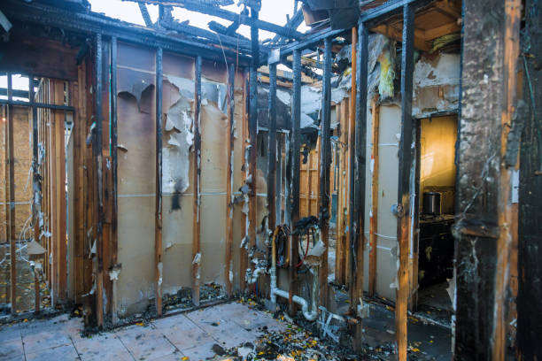 Professional Soot Cleanup technician working in Peaceful Valley, WA
